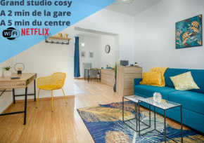 Studio spacieux, sublime et cosy avec patio au centre de Valenciennes - wifi